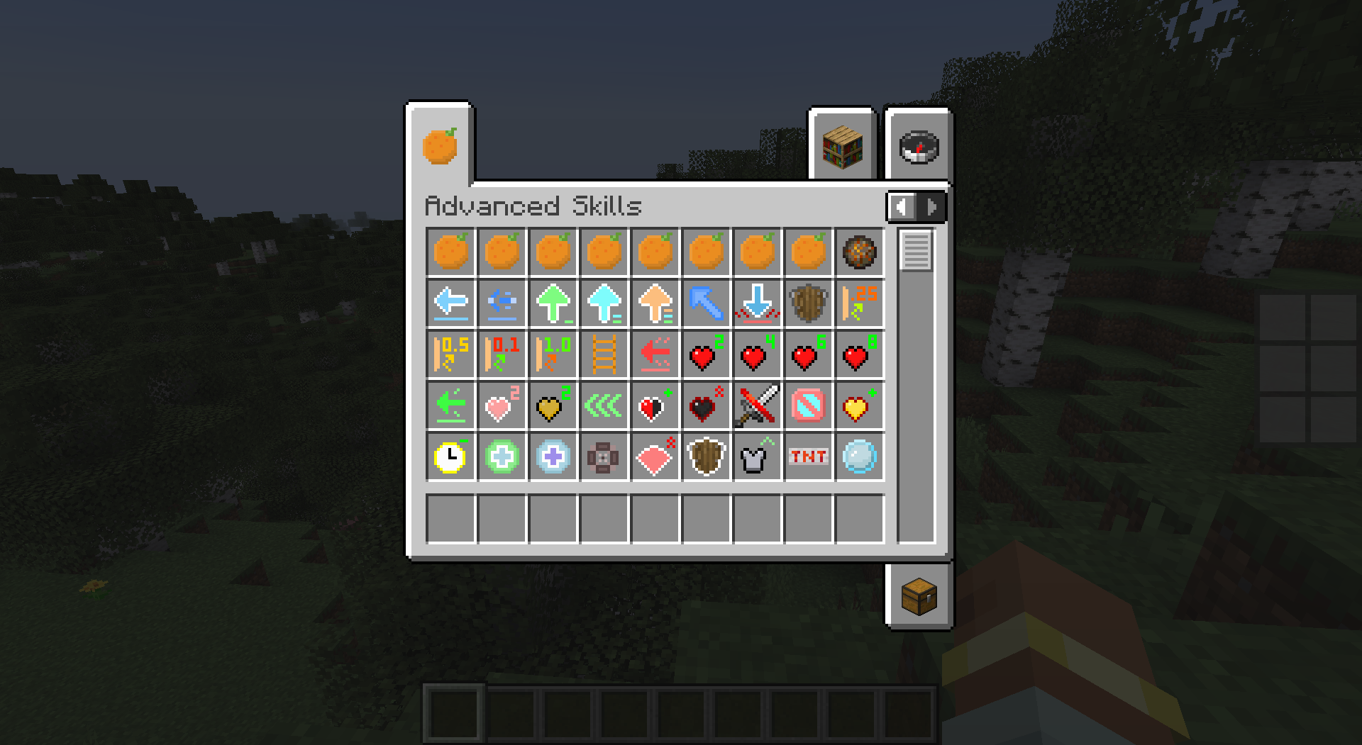 advanced-skills-1-20-1